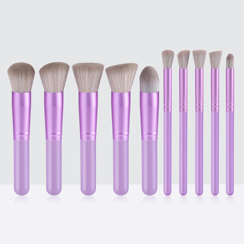 10PCs Minin Makeup Brush Set C - Beauty Makeup Pictures ulasan dan harga