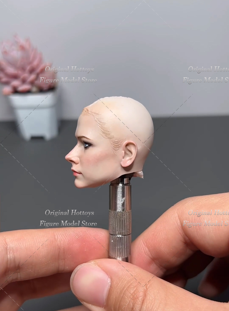 1/6 Scale Female Soldier Head  - Beauty Makeup Edit ulasan dan harga