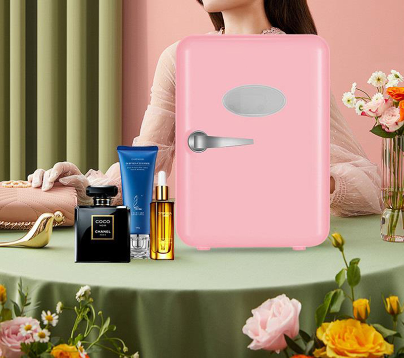 Dual-Use 4L Home Car Use Refri - Beauty Makeup Fridge ulasan dan harga